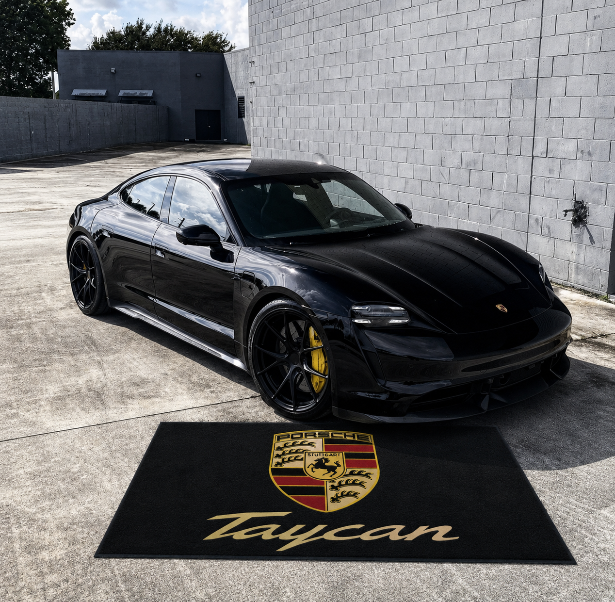 Porsche Taycan Luxury Logo Rug and Display Mat Garage, Home, Office, Showroom Floor Decor, 60x87 in / 150x220 cm