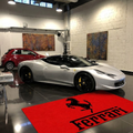 Ferrari Horse Luxury Logo Rug and Display Mat Garage, Home, Office, Showroom Floor Decor, 60x87 in / 150x220 cm - 4