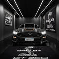 Shelby GT350 Luxury Logo Rug and Display Mat Garage, Home, Office, Showroom Floor Decor, 60x87 in / 150x220 cm - 1
