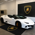 Lamborghini Luxury Logo Rug and Display Mat Garage, Home, Office, Showroom Floor Decor, 60x87 in / 150x220 cm - 8