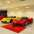 Ferrari Horse Luxury Logo Rug and Display Mat Garage, Home, Office, Showroom Floor Decor, 60x87 in / 150x220 cm - 7