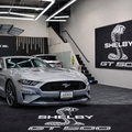 Shelby GT500 Luxury Logo Rug and Display Mat Garage, Home, Office, Showroom Floor Decor, 60x87 in / 150x220 cm - 6