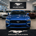 Mustang Luxury Logo Rug and Display Mat Garage, Home, Office, Showroom Floor Decor, 60x87 in / 150x220 cm - 7